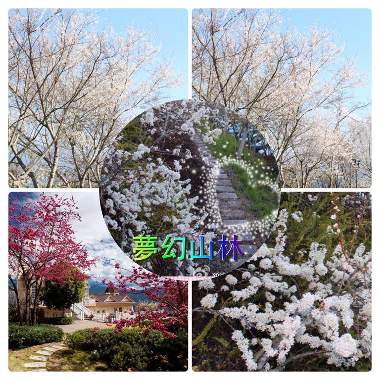 Dream Forest Villa Renai Exterior foto