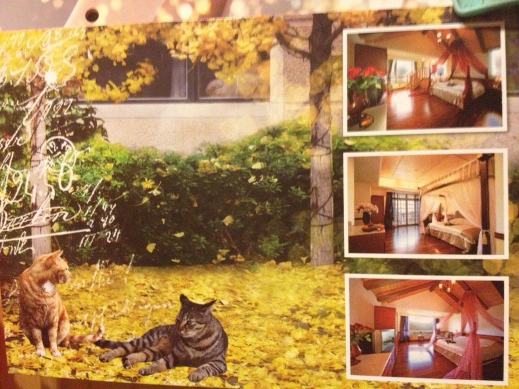 Dream Forest Villa Renai Exterior foto
